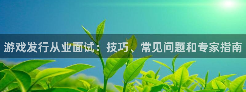 新航娱乐到.3.3.4.8.2新航娱乐.可以吗.长久.中国：游戏发行从业面试：技巧、常见问题和专家指南